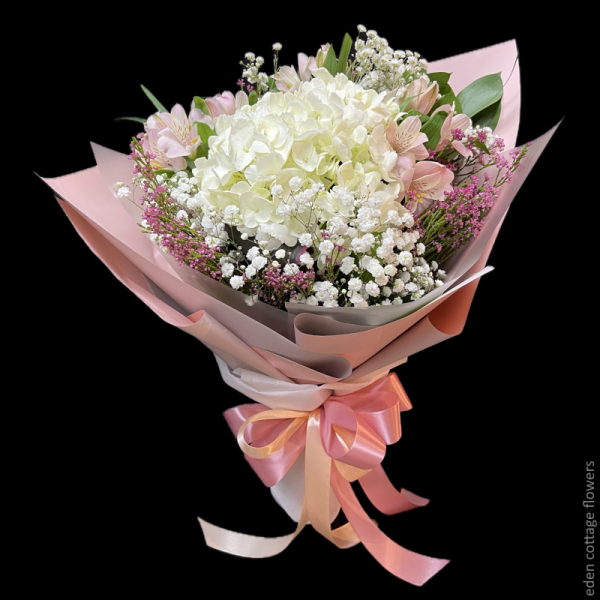 Shop by Occasions