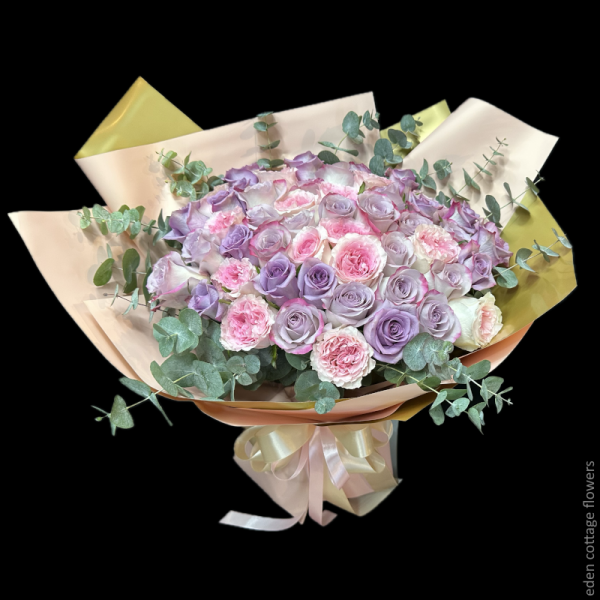 Shop by Occasions
