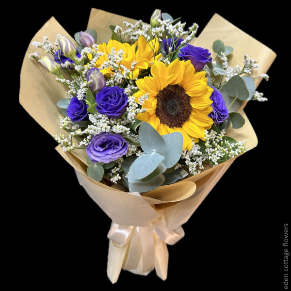 Shop by Occasions