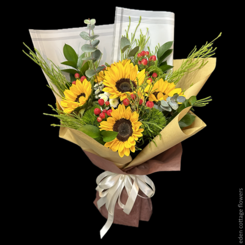 Shop by Occasions