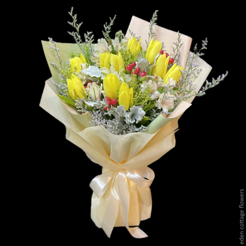 Shop by Occasions
