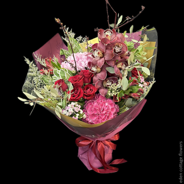 Shop by Occasions