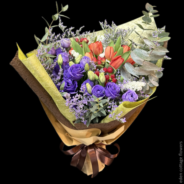 Shop by Occasions