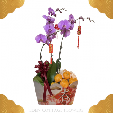 CNY Mandarin Oranges Basket with Phalaenopsis Orchids CNF02