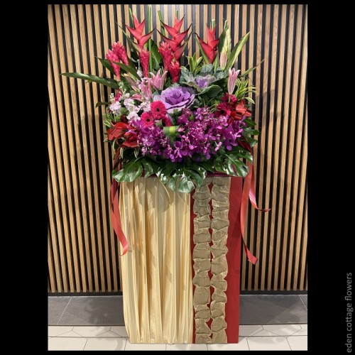 Shop by Occasions