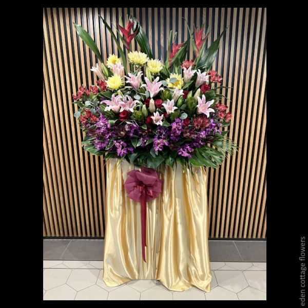 Shop by Occasions