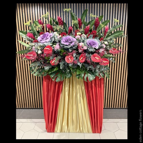 Shop by Occasions