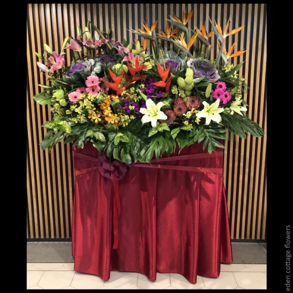 Congratulations