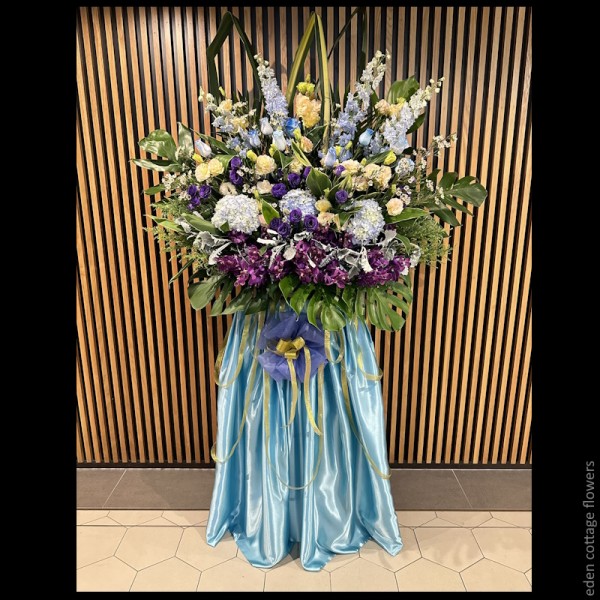 Shop by Occasions