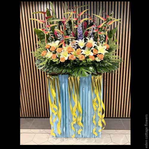 Shop by Occasions