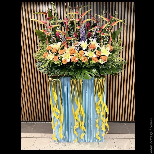 Shop by Occasions