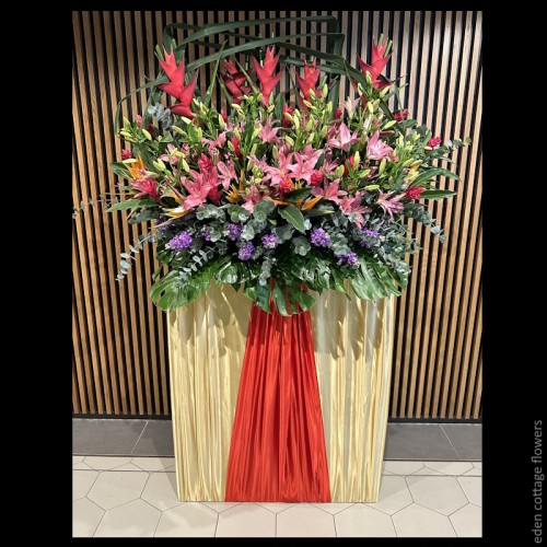Shop by Occasions