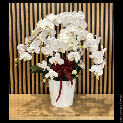 Mother's Day Flowers 2026