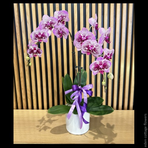 Mother's Day Flowers 2026