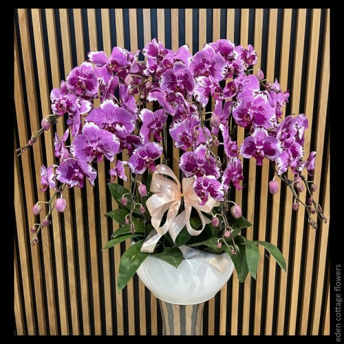 Mother's Day Flowers 2026