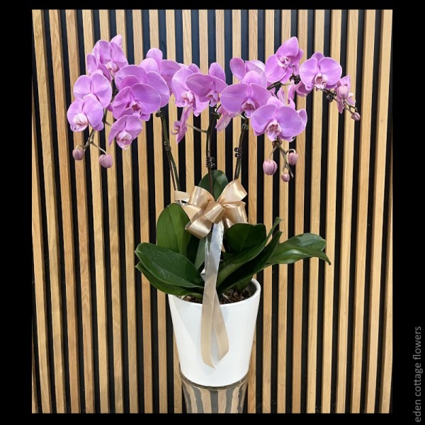 Mother's Day Flowers 2026