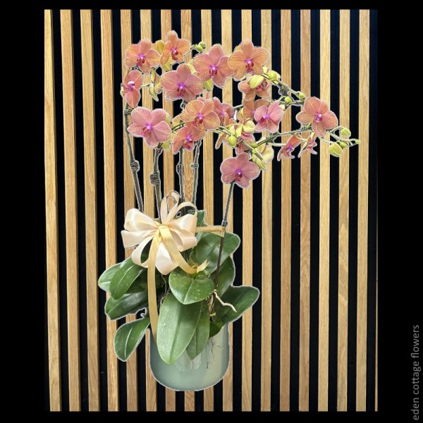 Mother's Day Flowers 2026