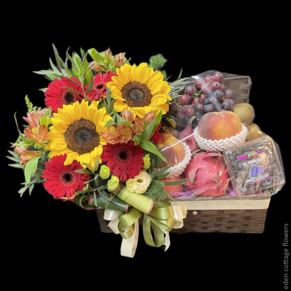 Shop by Occasions