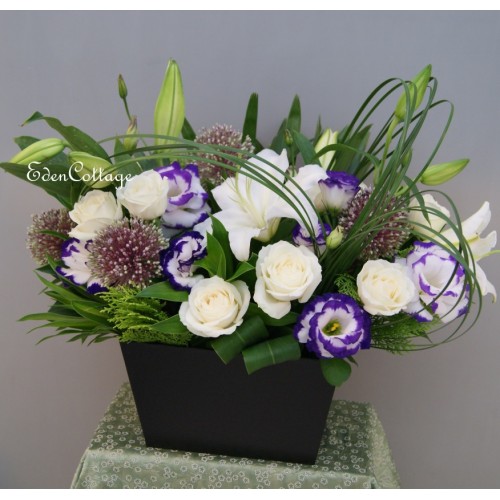 Shop by Occasions
