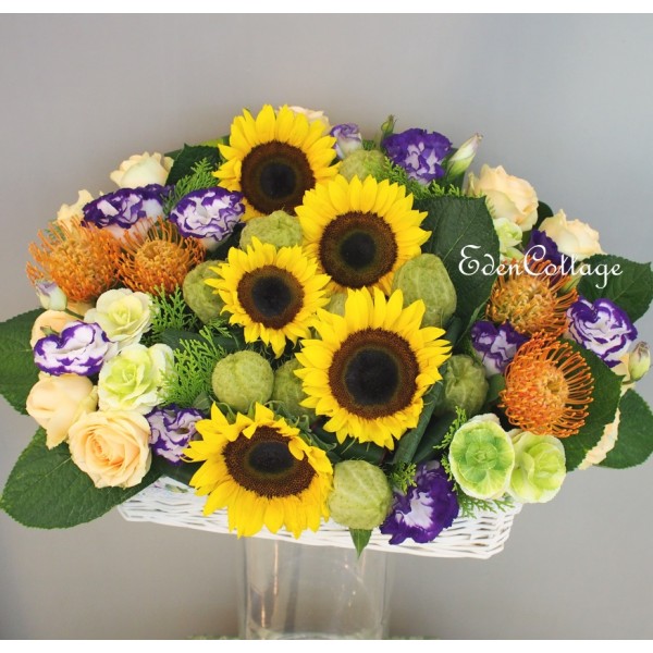 Shop by Occasions