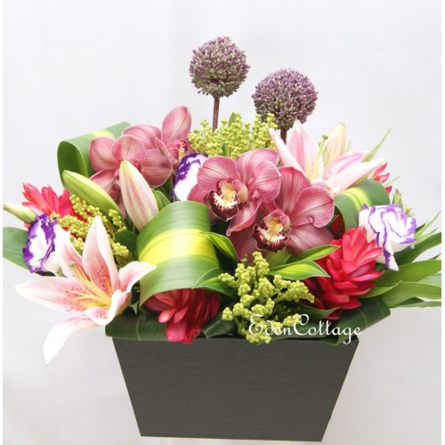 Shop by Occasions