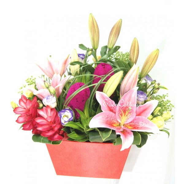 Shop by Occasions