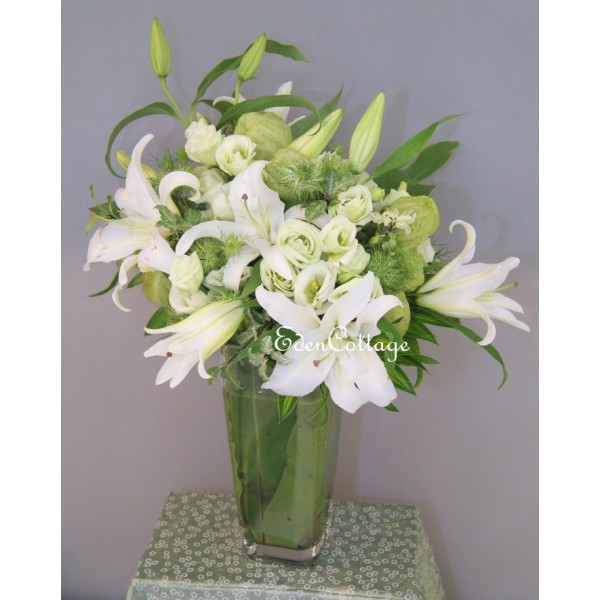 Shop by Occasions