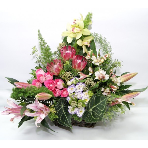 Shop by Occasions