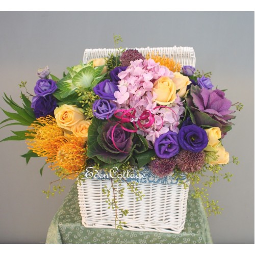 Shop by Occasions
