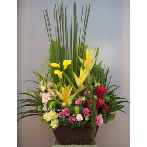 Shop by Occasions