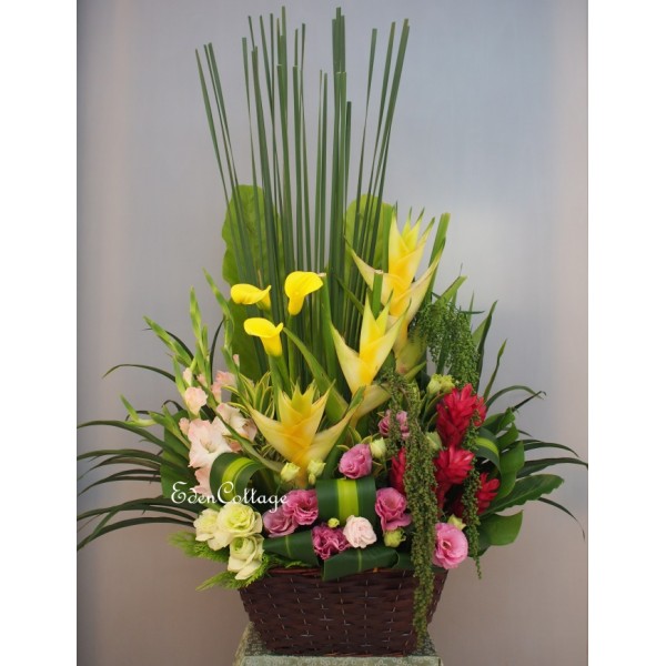 Shop by Occasions