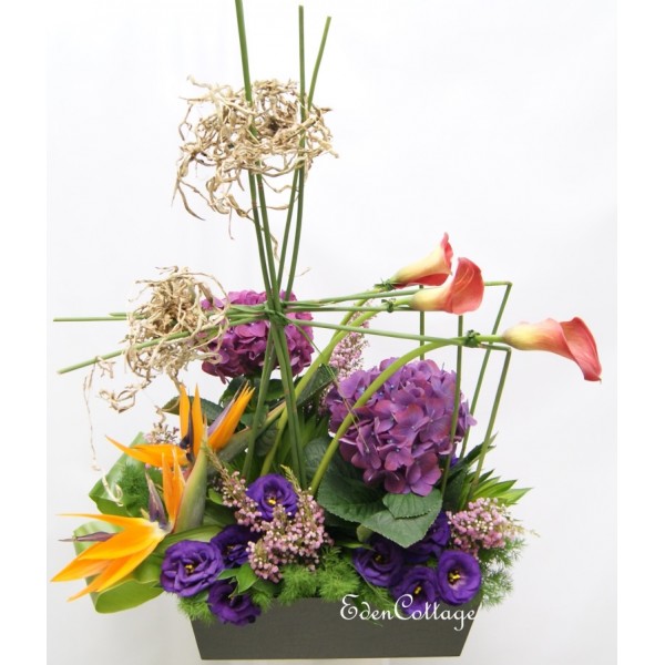 Shop by Occasions