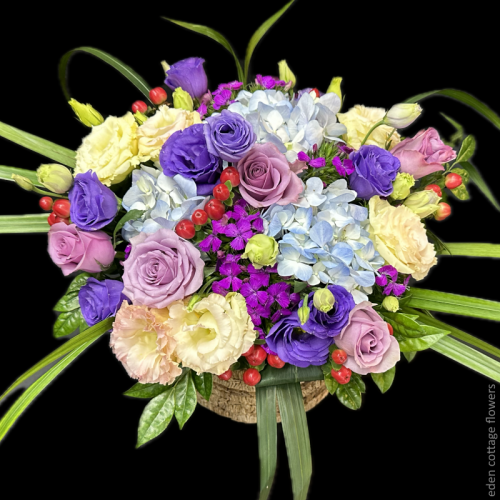 Shop by Occasions