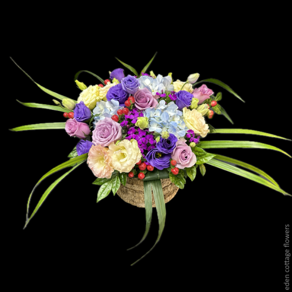 Shop by Occasions