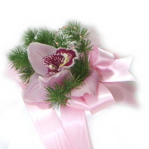 Shop by Occasions