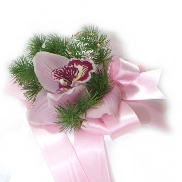 Shop by Occasions