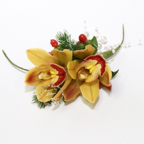 Shop by Occasions