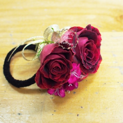 Shop by Occasions