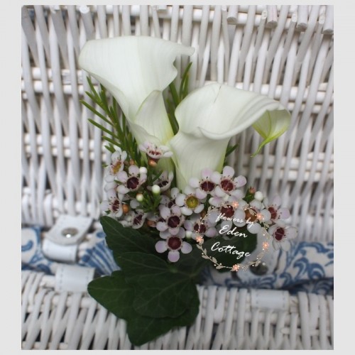 Shop by Occasions