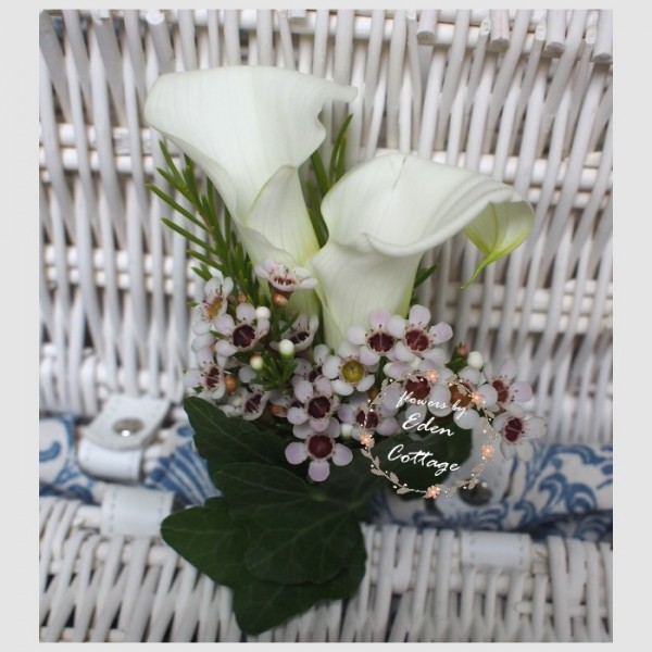 Shop by Occasions