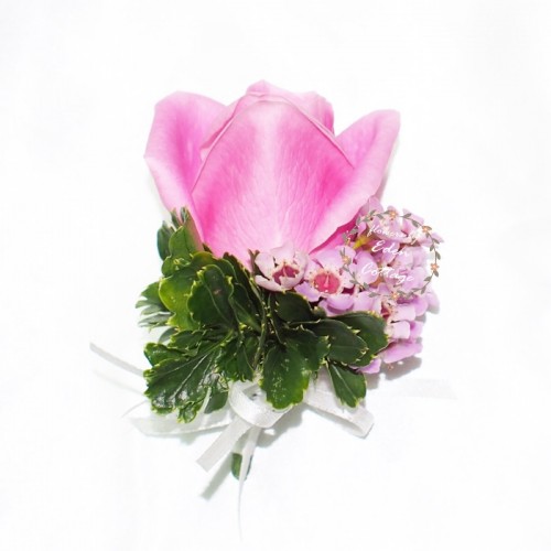 Shop by Occasions