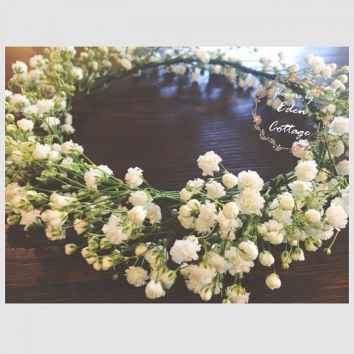 Shop by Occasions