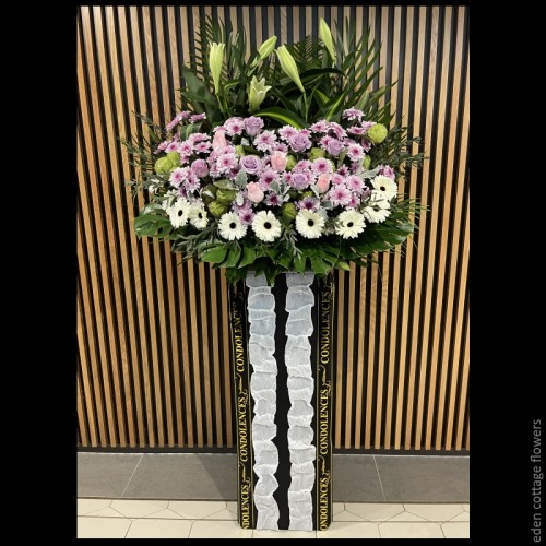 Shop by Occasions