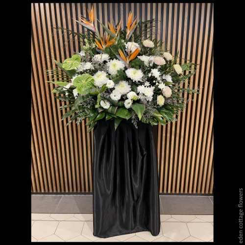 Shop by Occasions