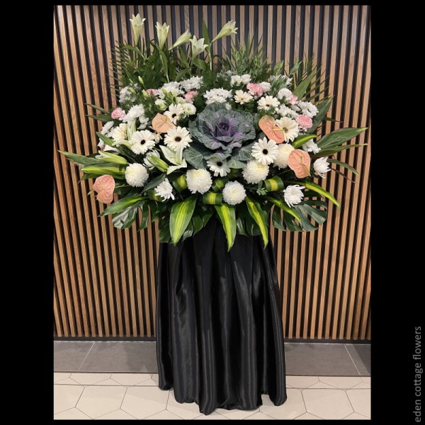 Shop by Occasions