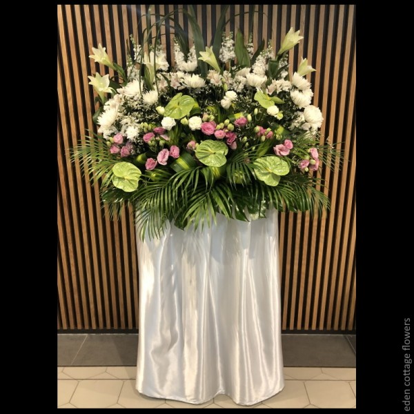 Shop by Occasions
