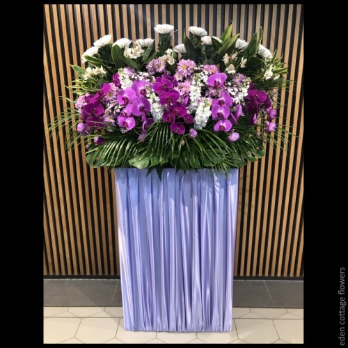 Shop by Occasions