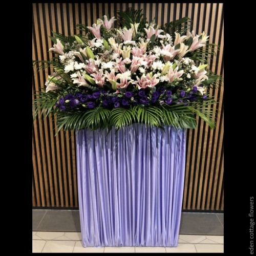 Shop by Occasions