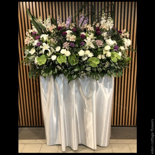 Shop by Occasions