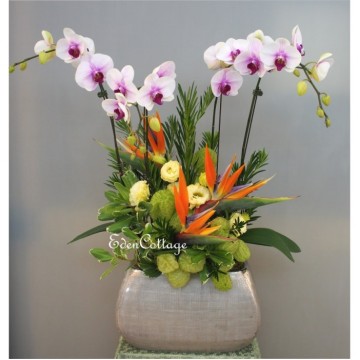 Office Floral Display CFA13